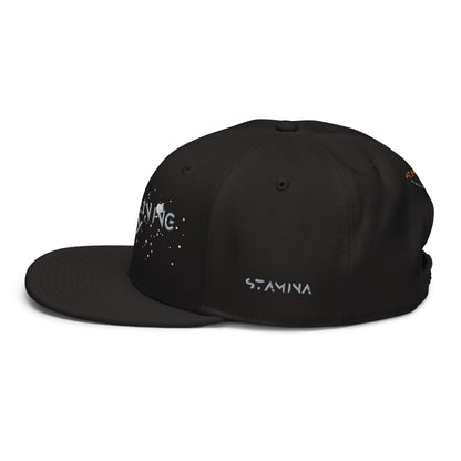 Training Day Snapback Hat