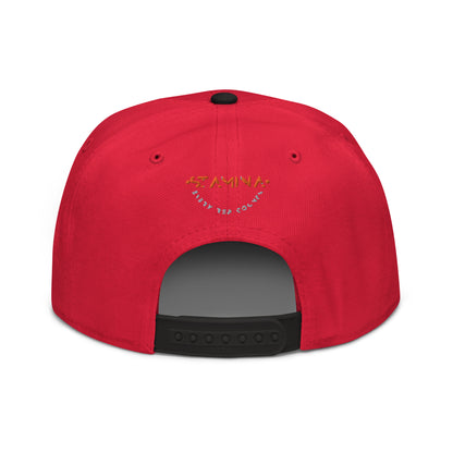Training Day Snapback Hat