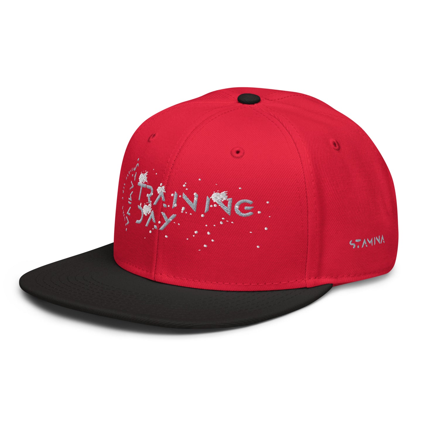 Training Day Snapback Hat