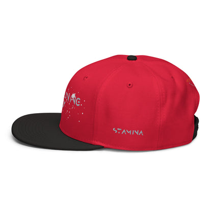 Training Day Snapback Hat