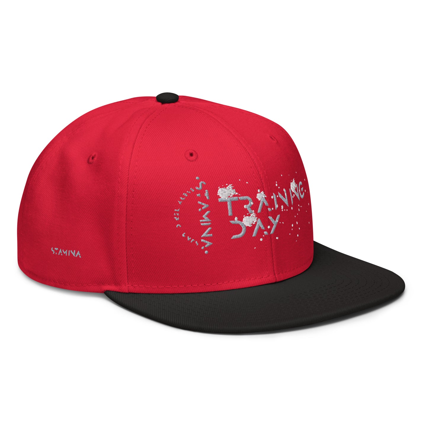 Training Day Snapback Hat