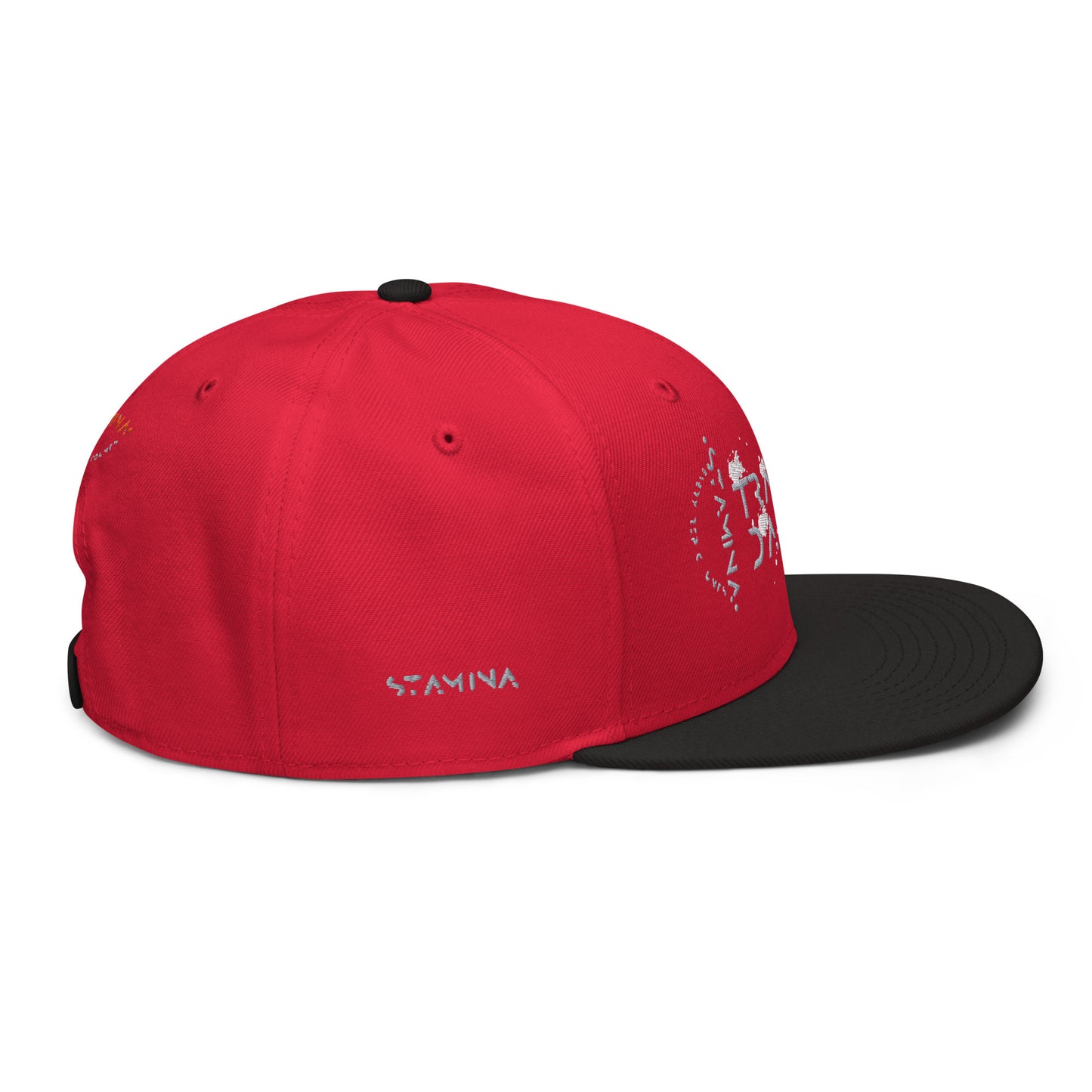 Training Day Snapback Hat