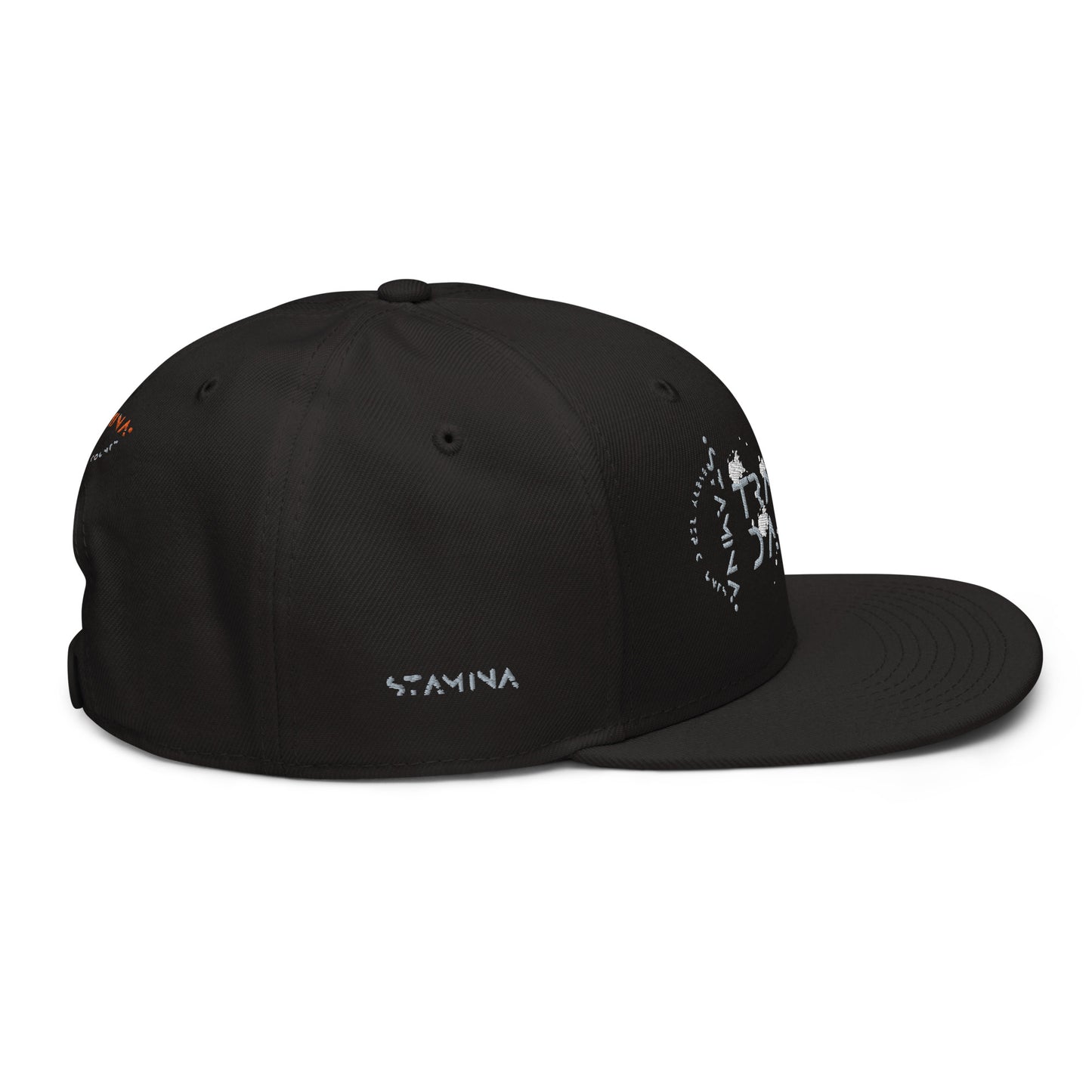Training Day Snapback Hat
