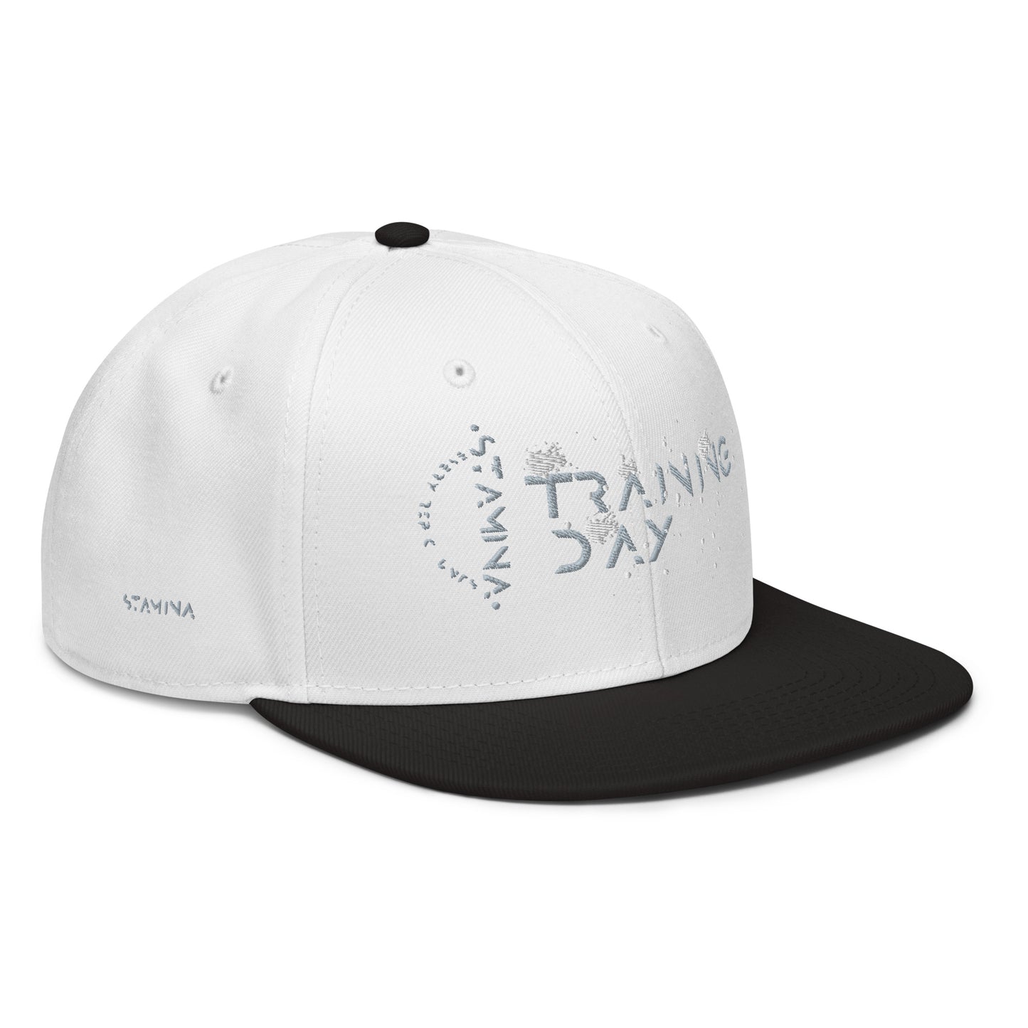 Training Day Snapback Hat