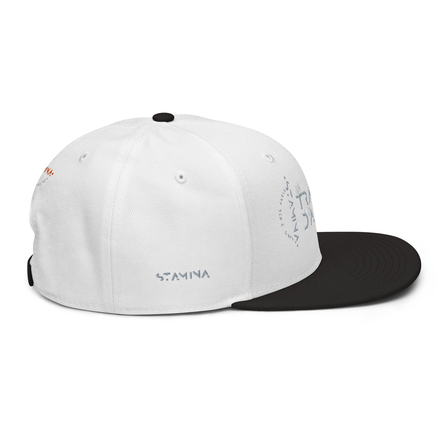 Training Day Snapback Hat