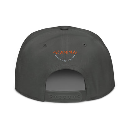 Training Day Snapback Hat