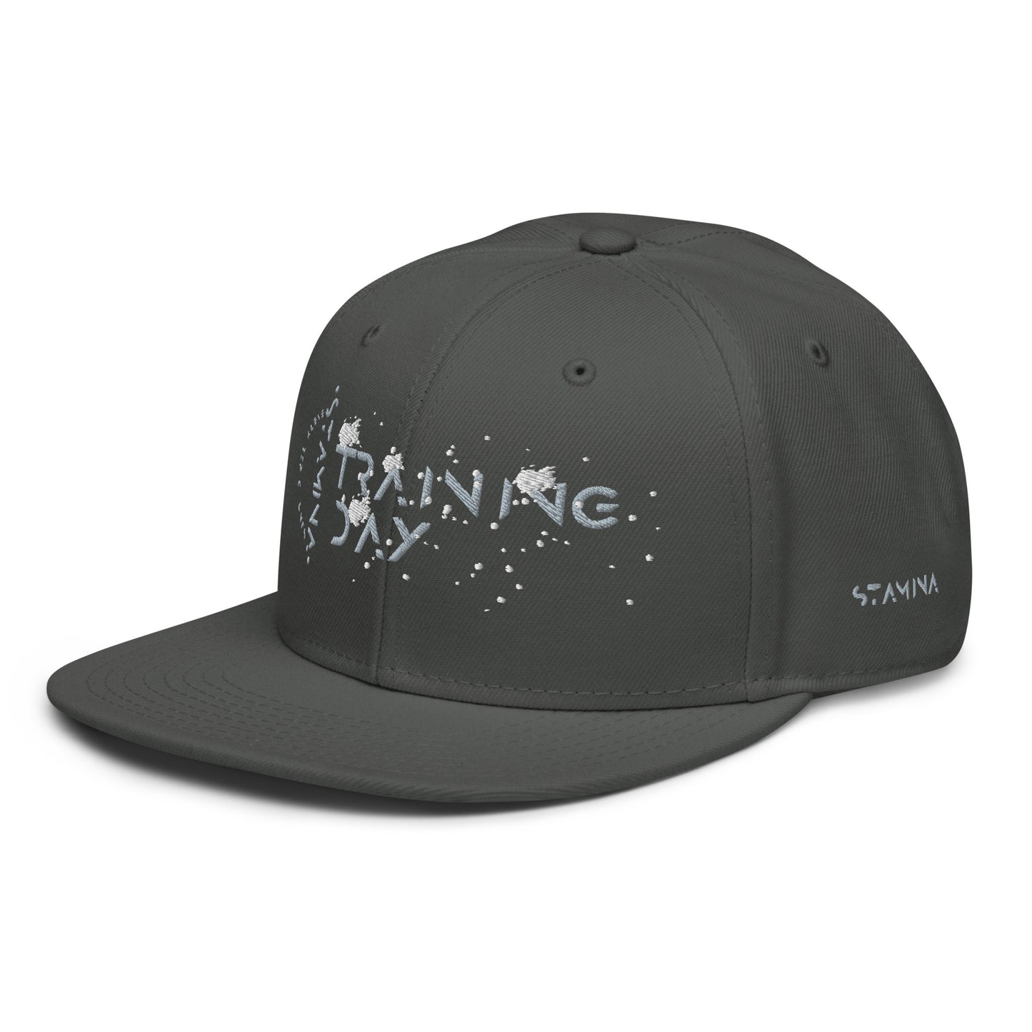 Training Day Snapback Hat