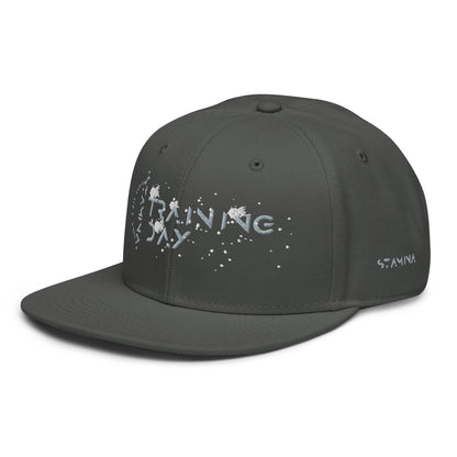 Training Day Snapback Hat
