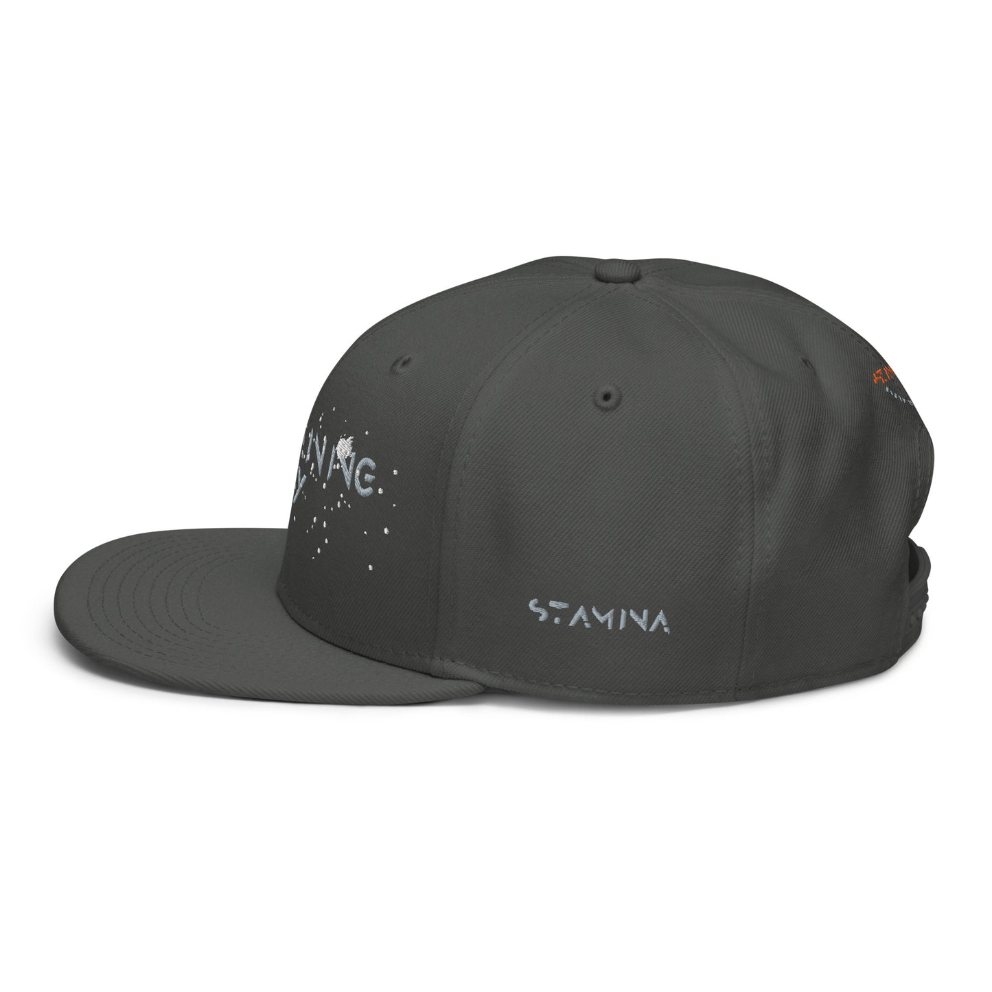 Training Day Snapback Hat