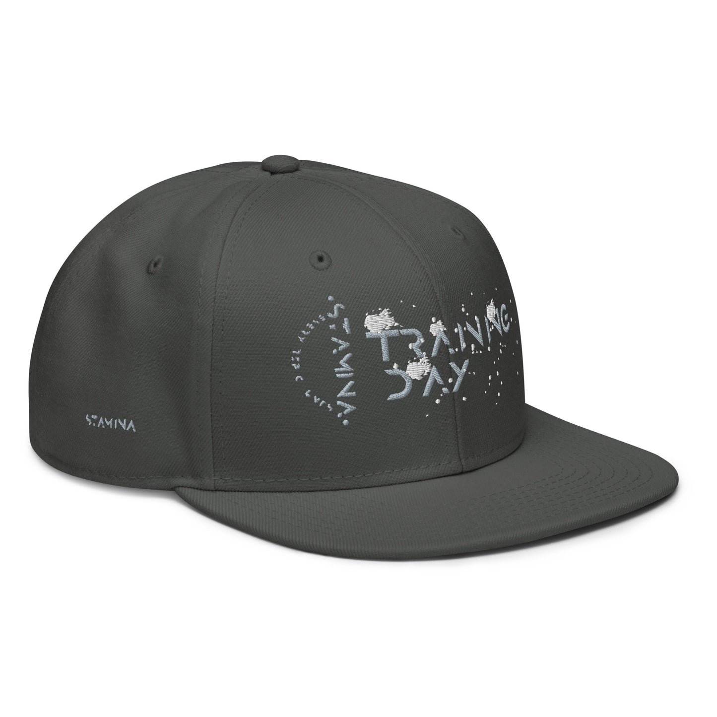 Training Day Snapback Hat