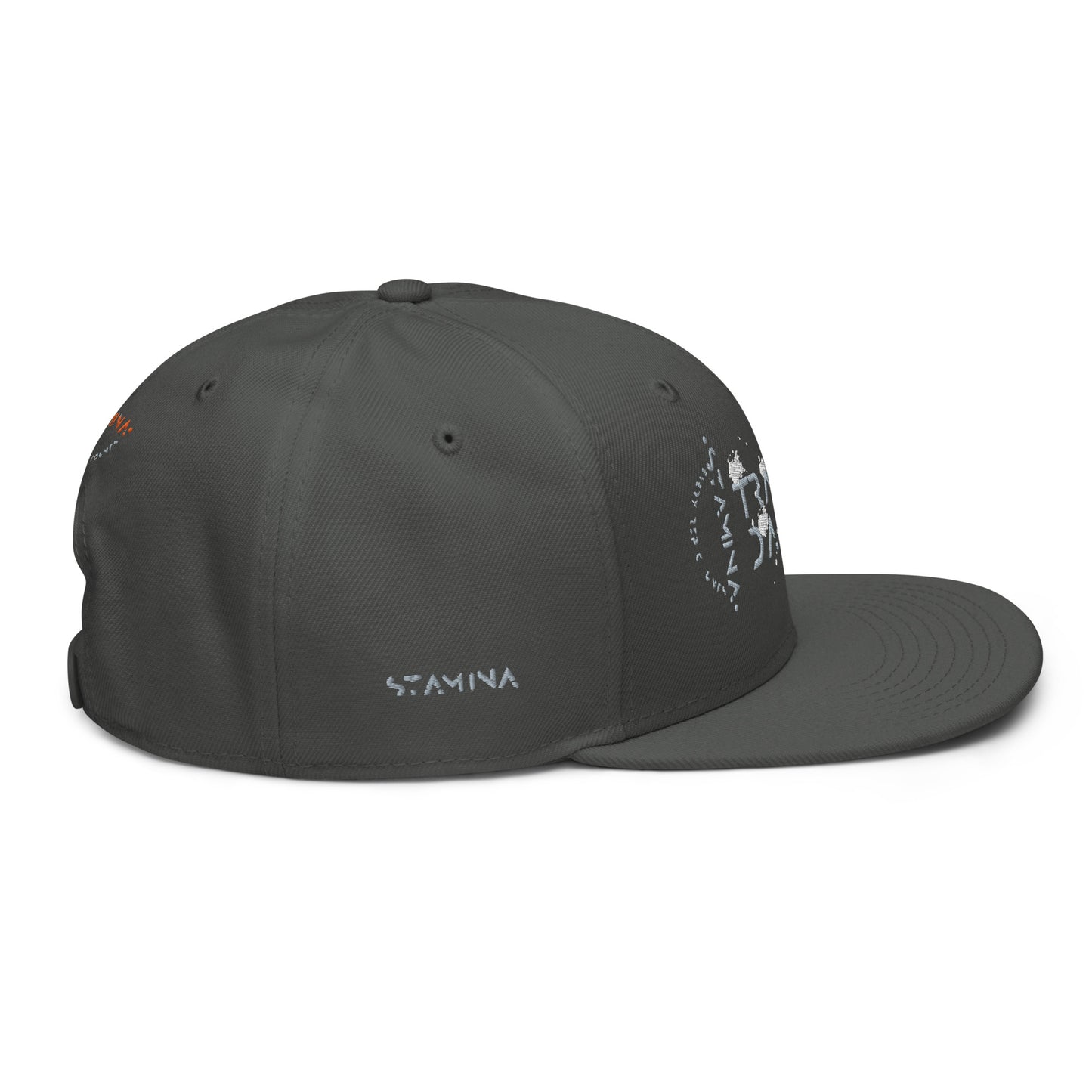 Training Day Snapback Hat