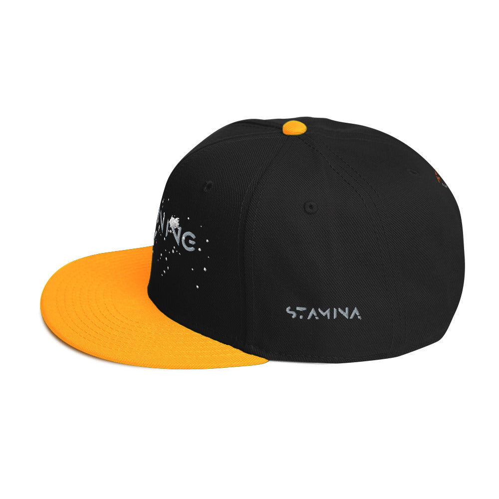Training Day Snapback Hat