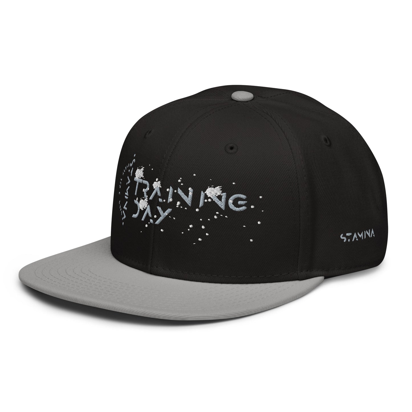 Training Day Snapback Hat