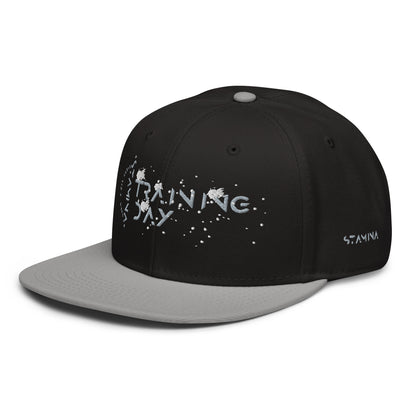 Training Day Snapback Hat