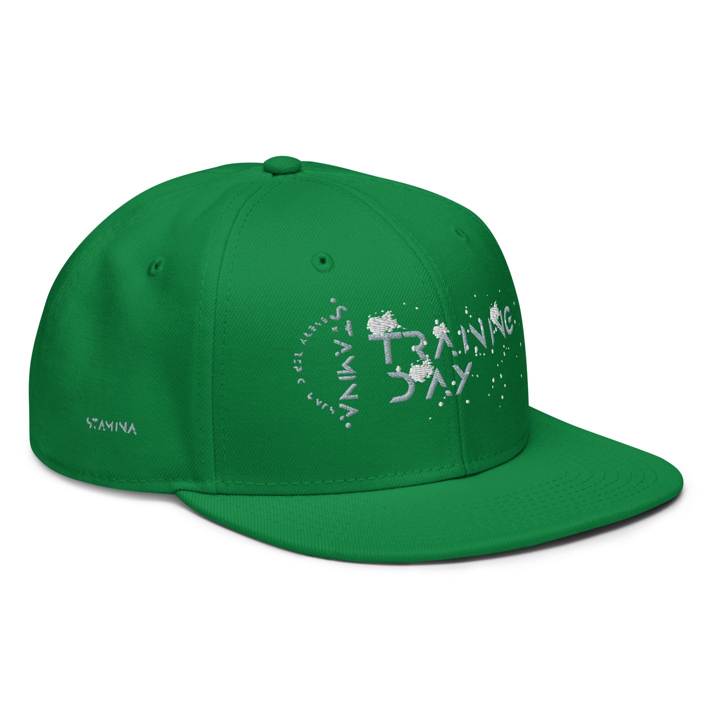 Training Day Snapback Hat