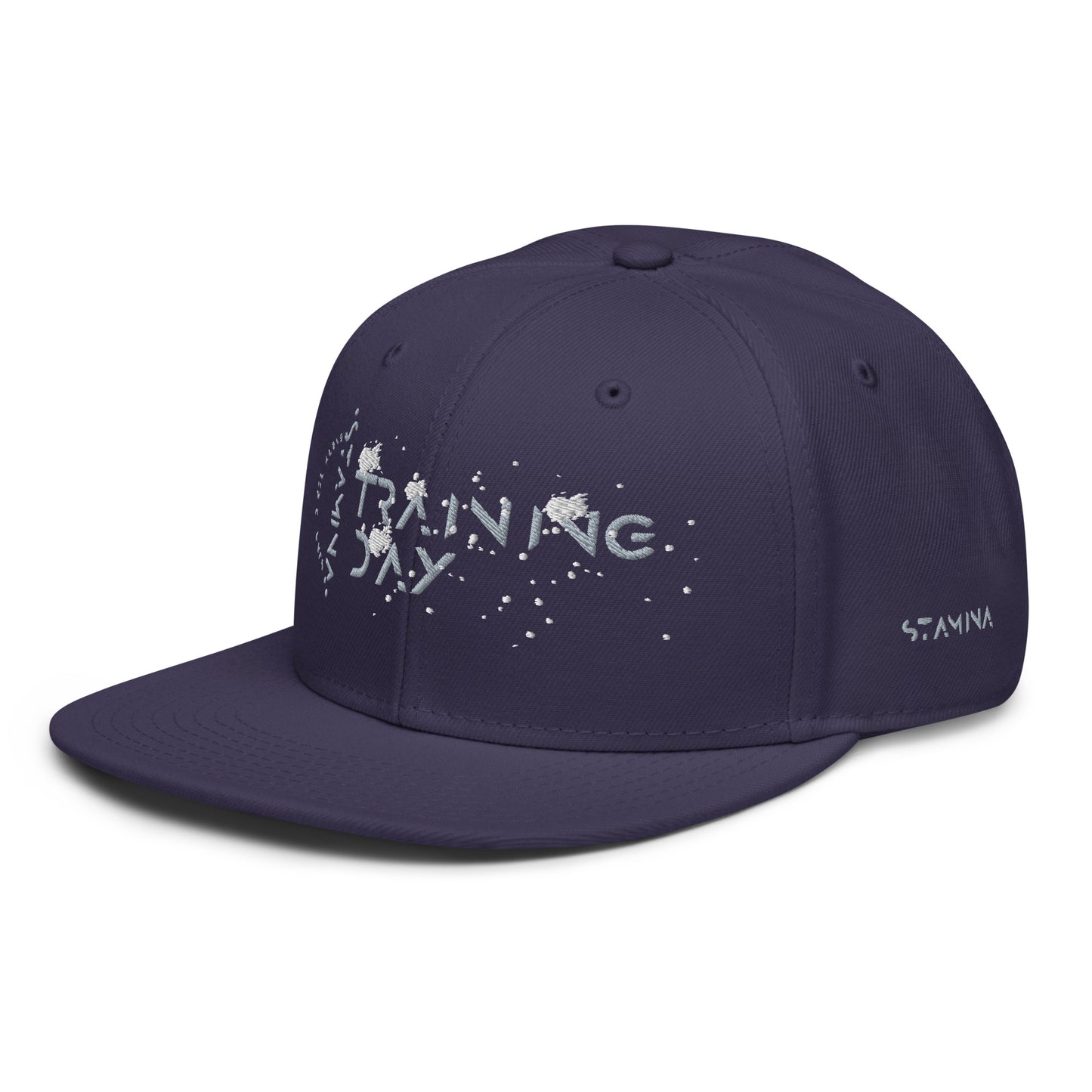Training Day Snapback Hat