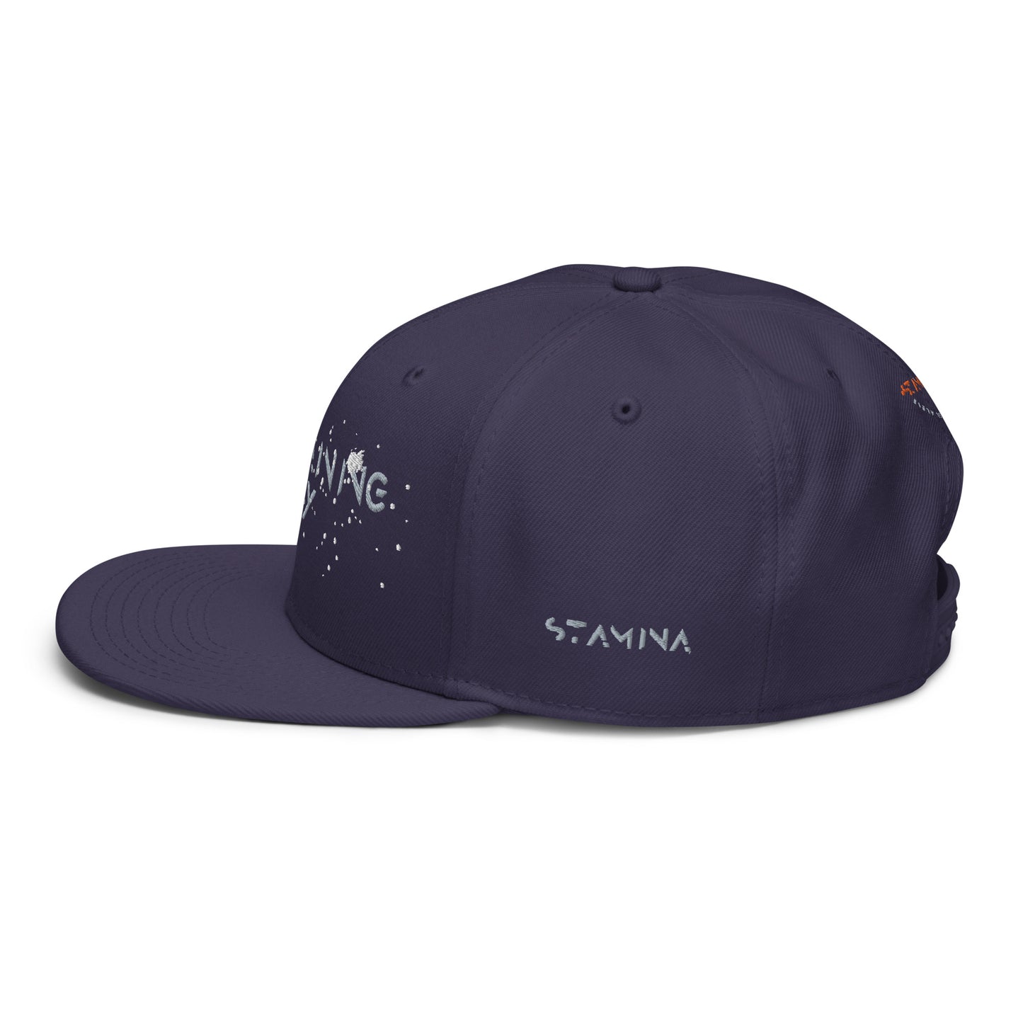 Training Day Snapback Hat