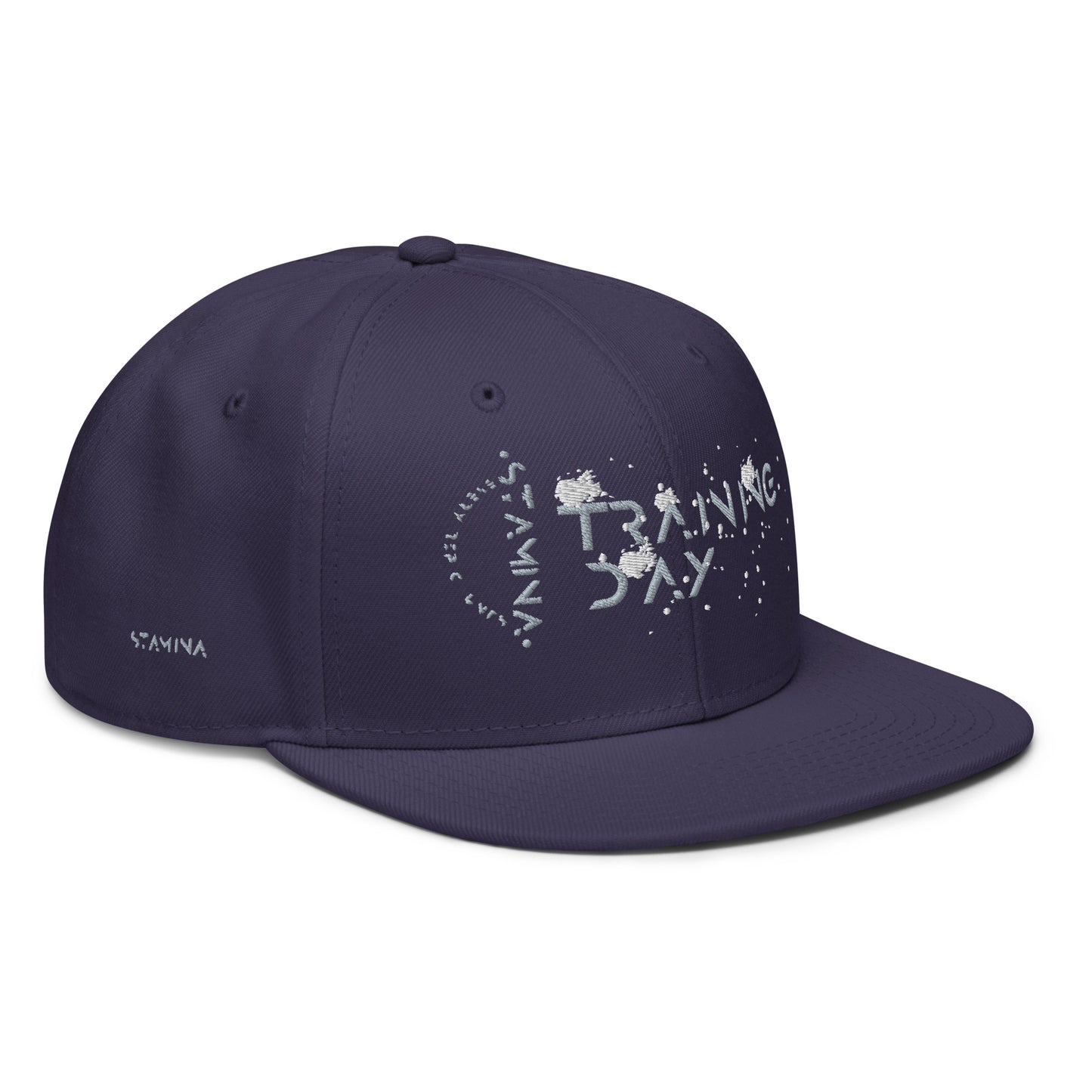 Training Day Snapback Hat
