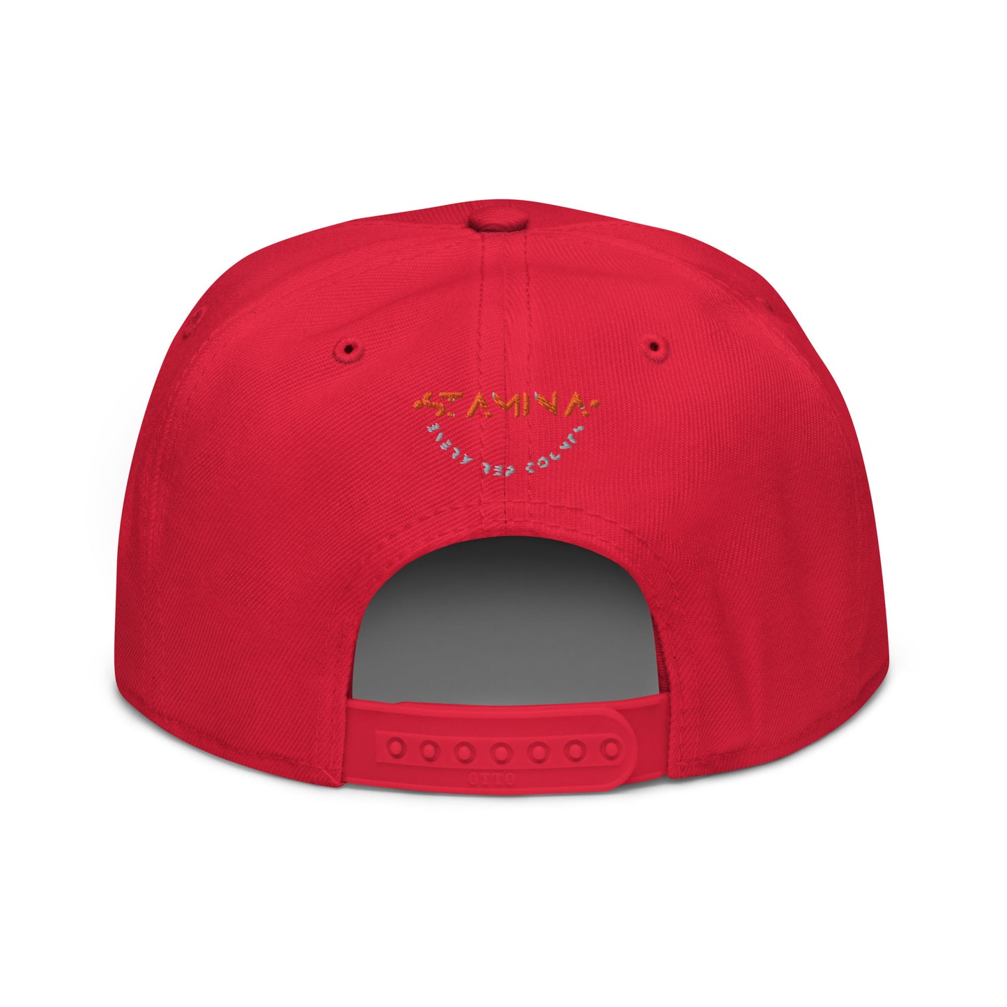 Training Day Snapback Hat