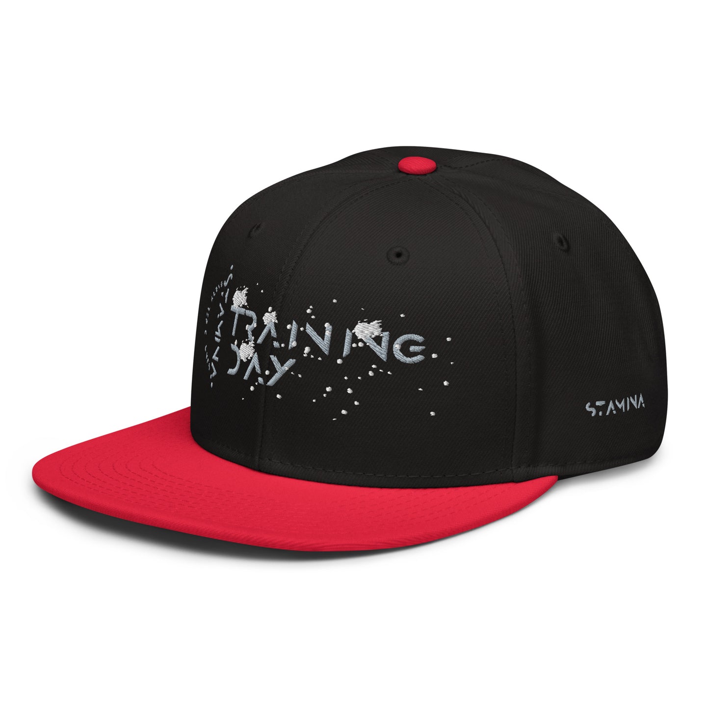 Training Day Snapback Hat