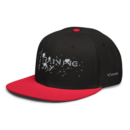Training Day Snapback Hat