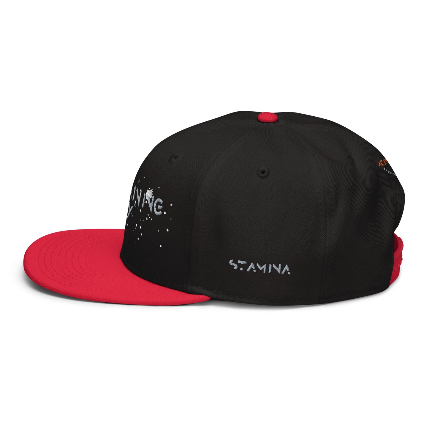 Training Day Snapback Hat