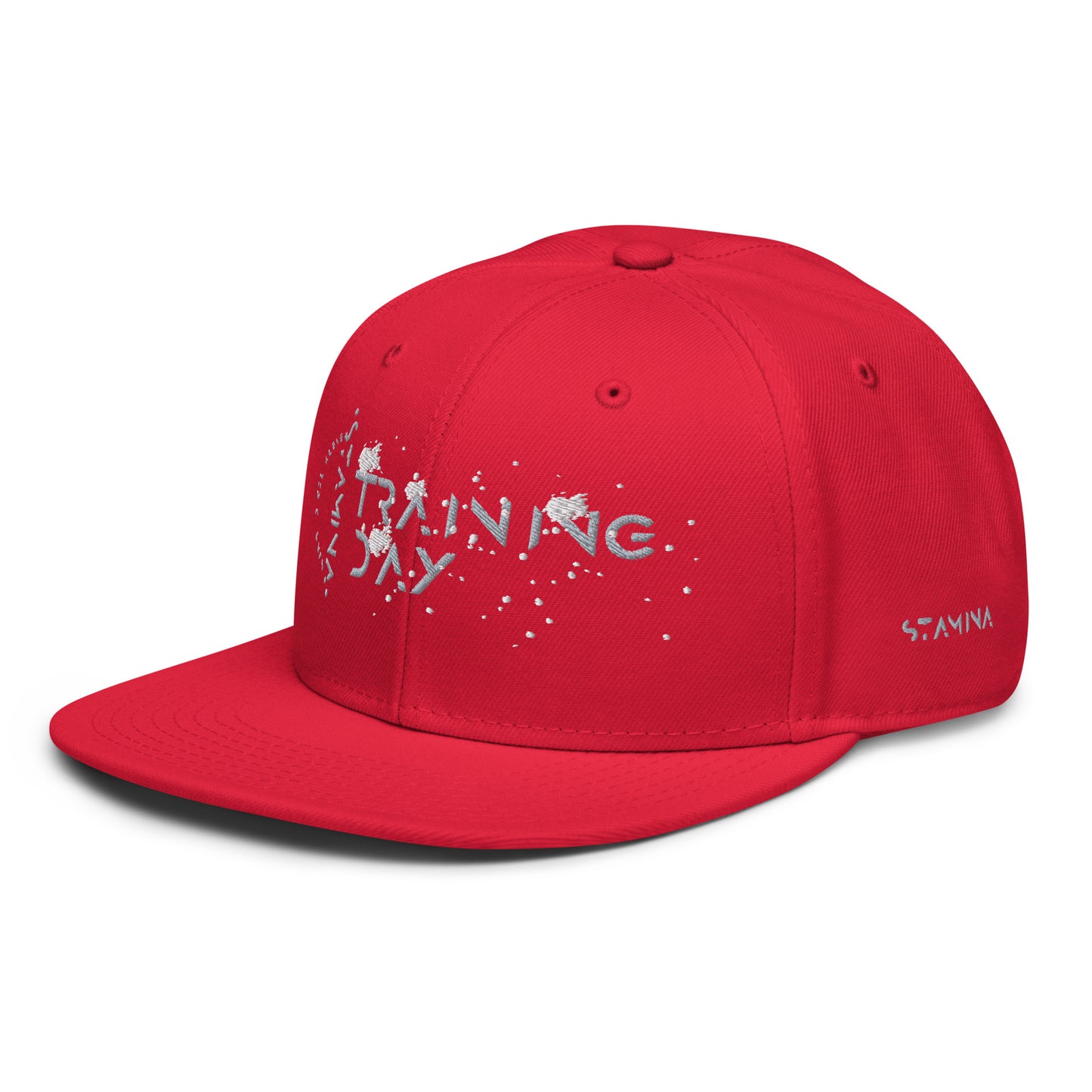 Training Day Snapback Hat