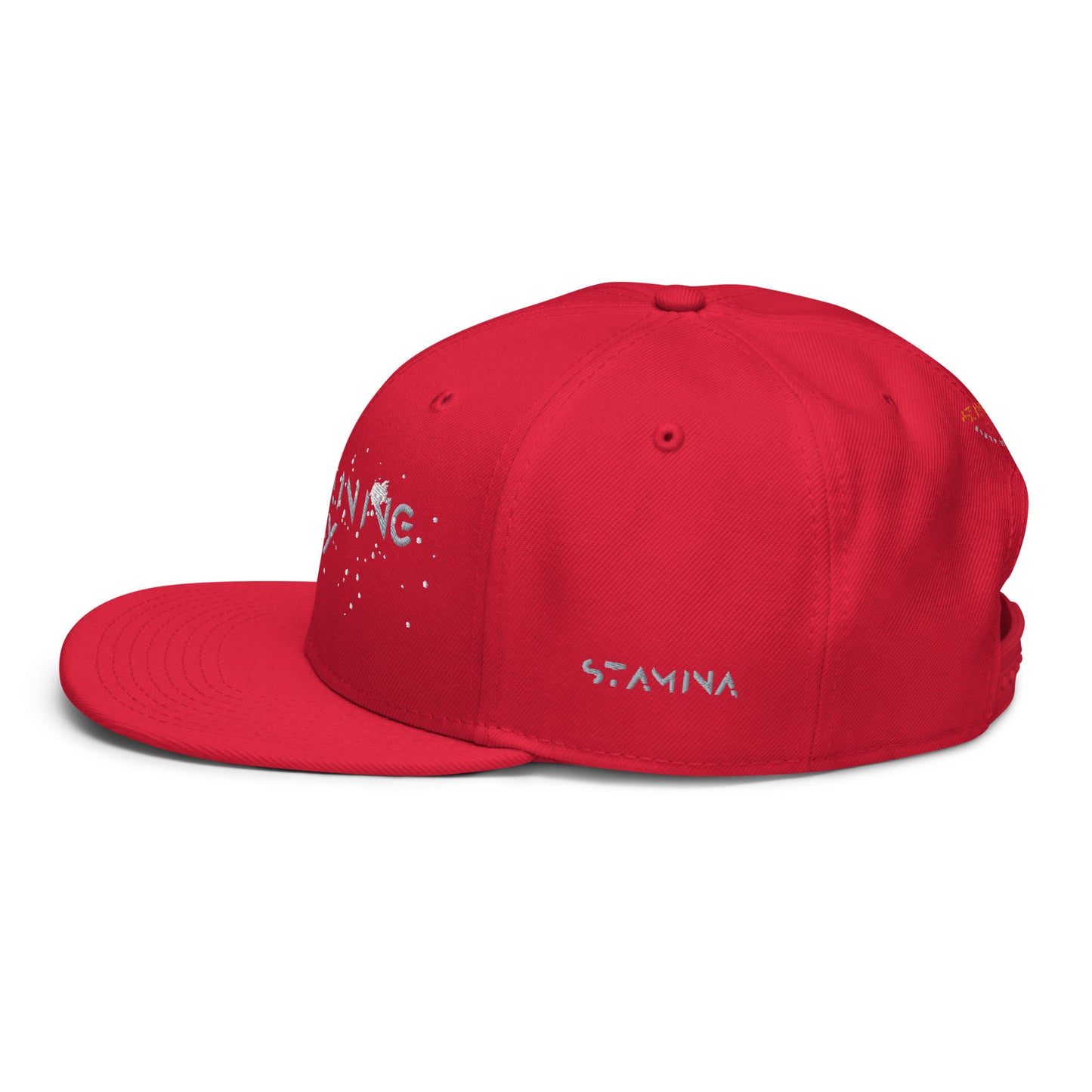 Training Day Snapback Hat