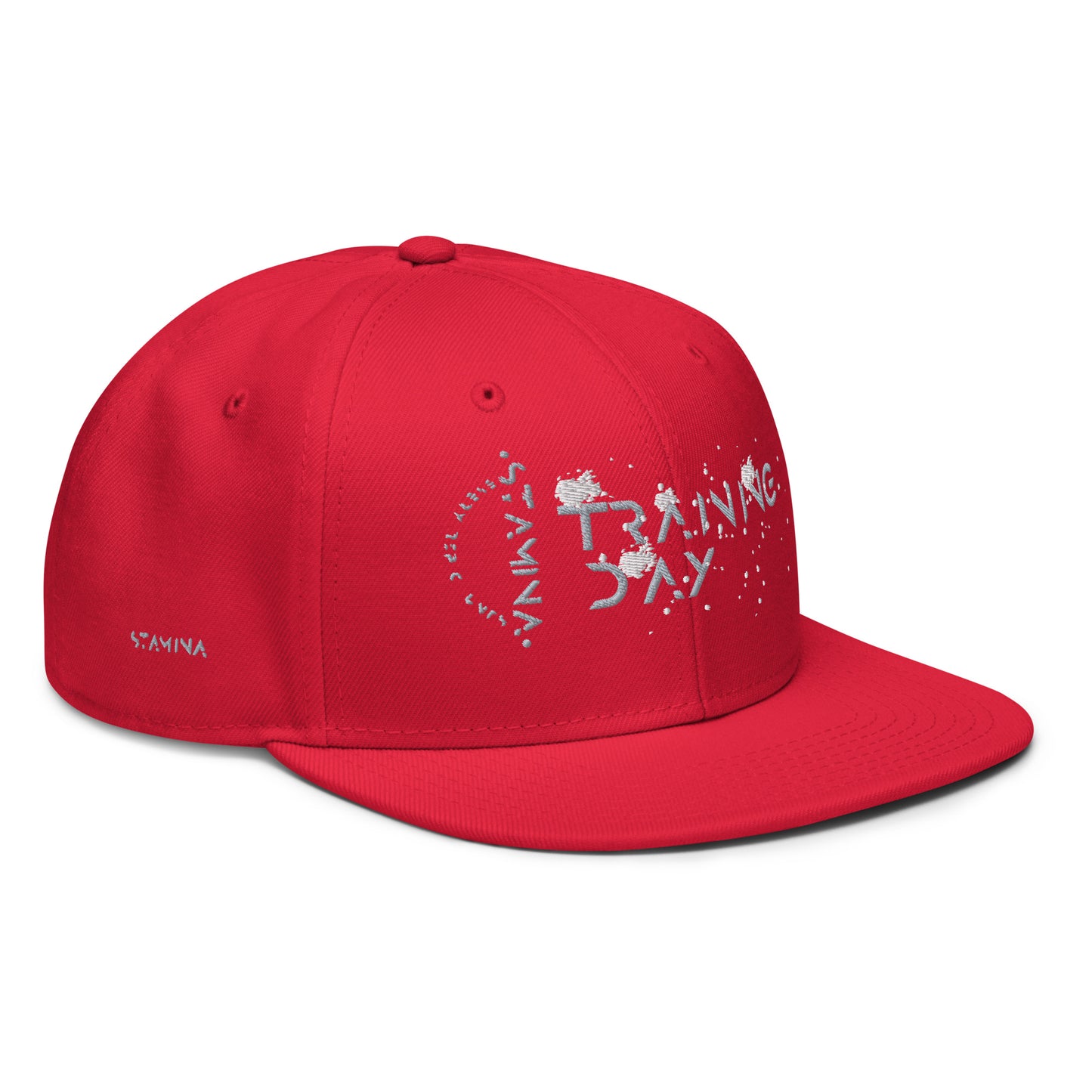 Training Day Snapback Hat