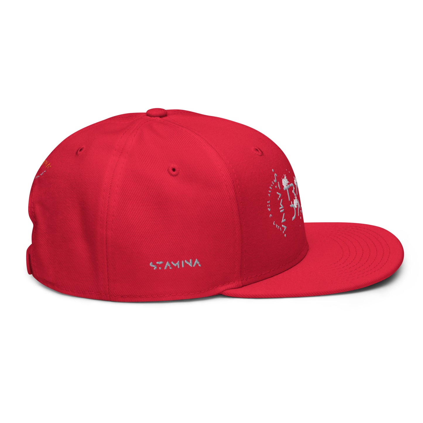 Training Day Snapback Hat