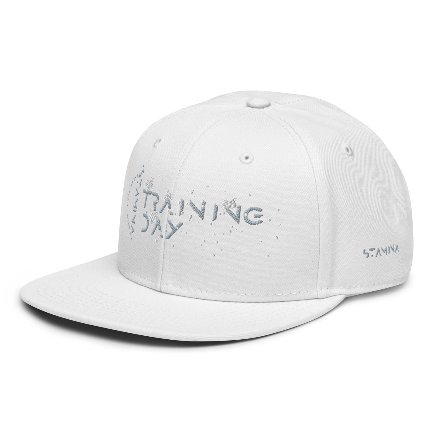 Training Day Snapback Hat