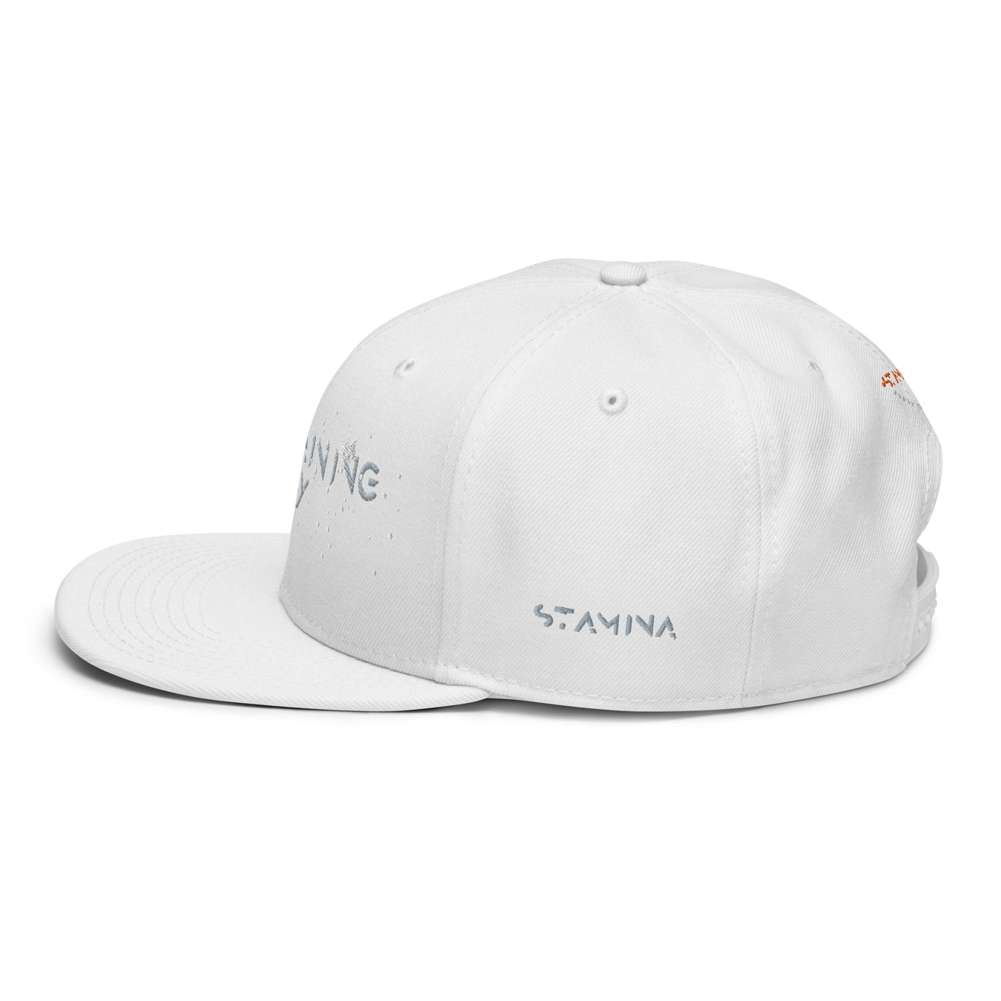 Training Day Snapback Hat