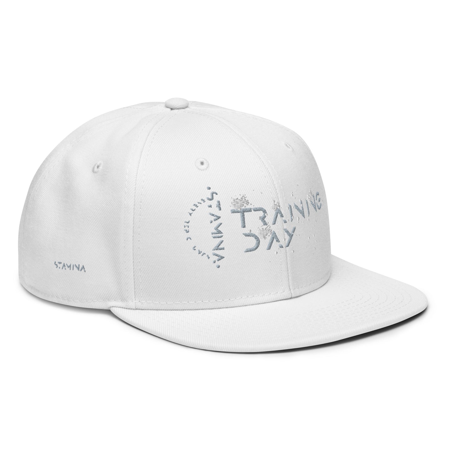 Training Day Snapback Hat