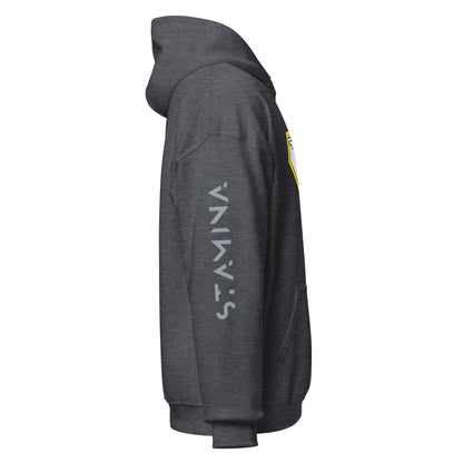 Superman Unisex Hoodie